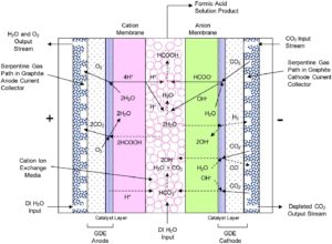 Formic acid cell configuration showing proposed electrochemical reactions and ion transport.