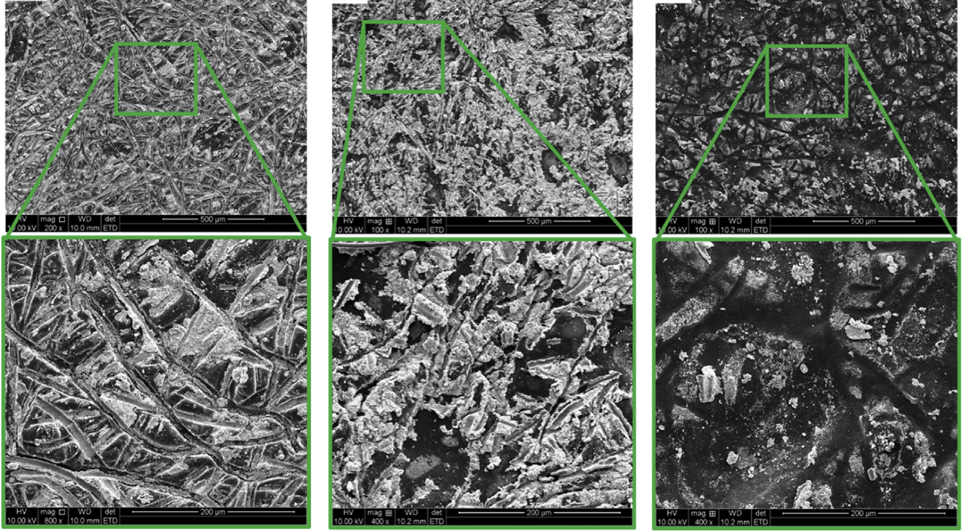 Post-Mortem degradation analysis using SEM of MEAs based on different anion exchange membranes