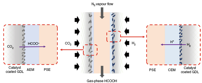 Electrochemical reduction of CO2 to Pure Formic Acid