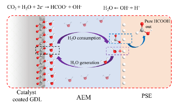 Water consumption and generation in the AEM