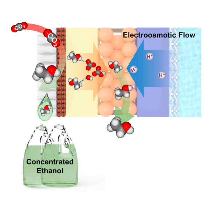 Electroosmotic flow steers neutral products and enables concentrated ...